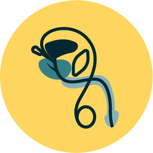 De-Escalate logo