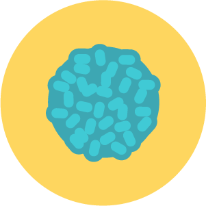 Pragmatil logo