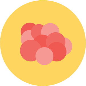 Prime-Rose logo